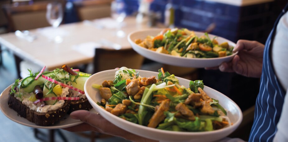 Vegetarian Butcheri tooted kokkadele